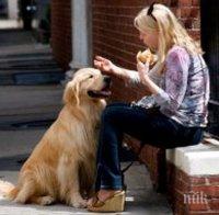 Любовта на кучето към стопанина не минава винаги през стомаха му