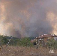 Добра новина! Пожарът край село Българска поляна е овладян