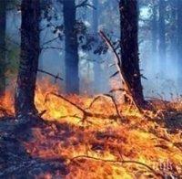 Извънредно! Евакуират село Българска поляна заради огромния пожар, положението е критично