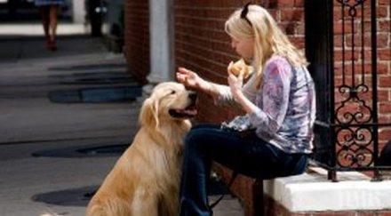 любовта кучето стопанина минава винаги стомаха