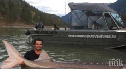 уловиха легендарна годишна есетра пуснаха веднага