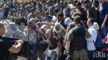 румъния експулсира пакистанец джихадистка пропаганда