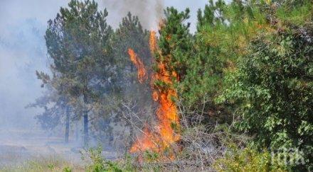 обявено бедствено положение тополовградските села българска поляна орлов дол