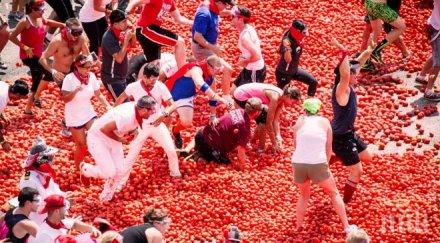 140 тона домати 000 души участваха испанския празник томатина
