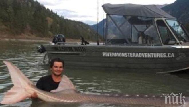 Уловиха легендарна 80-годишна есетра, пуснаха я веднага