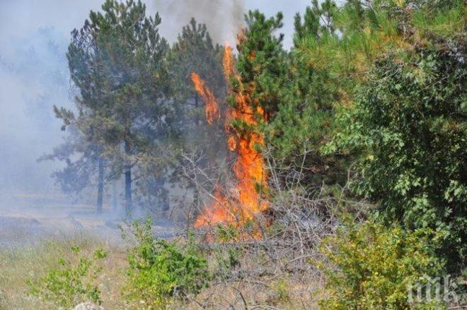 Обявено е бедствено положение в тополовградските села Българска поляна и Орлов дол