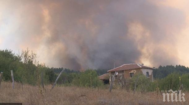 ПИК TV: Пожарът край Българска поляна е най-големият от началото на годината