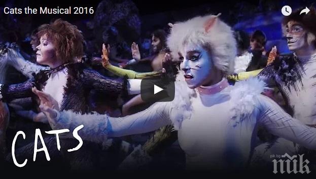 За ценители: Оригиналният мюзикъл „Котките“ за първи път в България