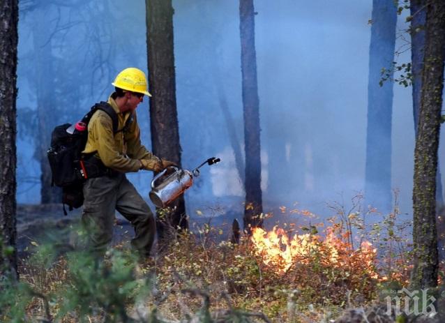 150 000 лв. за оборудване на една кула за видеонаблюдение за борба с горските пожари
