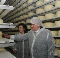 Дават 150 млн. евро на млекопроизводителите
