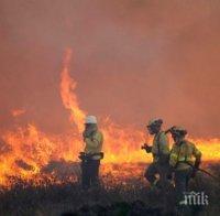 СТИХИЯ! Пожар е обхванал над 500 дка край хасковското село Хухла