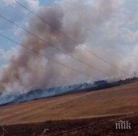 Над 60 военни от Сухопътните гасят пожарите в общините Гълъбово и Тополовград