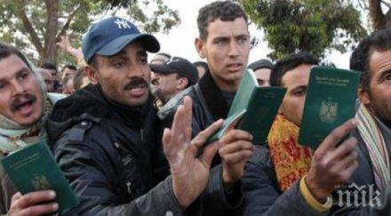 бежанец германия загина опитвайки запали жена жива