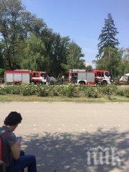 първо пик огнен парка заимов обновена видео снимки