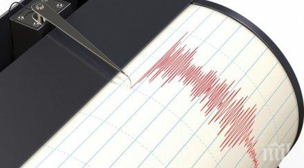 силно земетресение разтресе нова зеландия