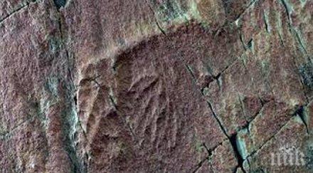 откритие животът земята стар очакваното