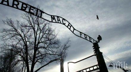 шок ужас откриха човешки части мозъци затворени буркани нацистите