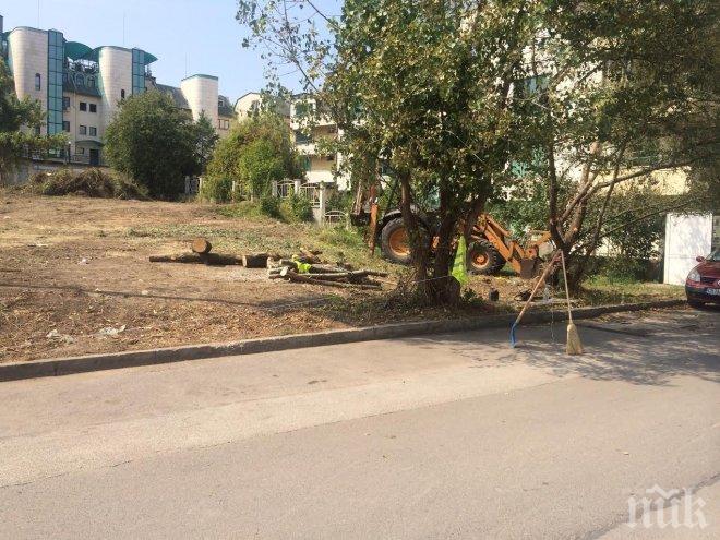 СИГНАЛ ДО ПИК! Масово изсичане на вековни дървета в Южния парк (СНИМКИ)