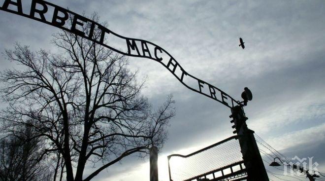 Шок и ужас! Откриха човешки части и мозъци, затворени в буркани от нацистите (18+)