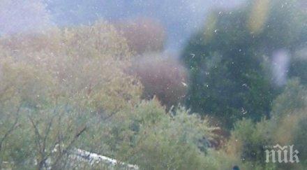 първо пик двамата загинали учебния самолет млади мъже лозен снимки