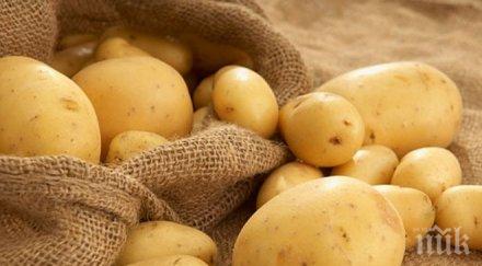 вижте козметичното приложение картофите