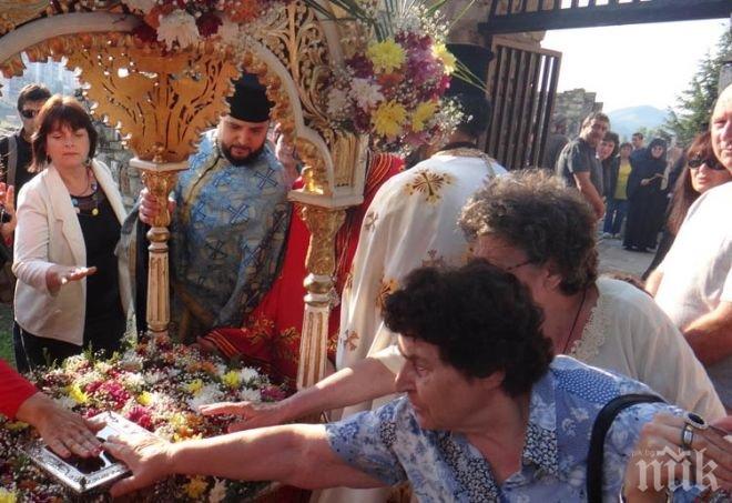 Гола мацка цъфна до икона на Богородица (СНИМКА)