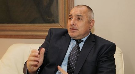 борисов бивол вол крава правят черен пиар