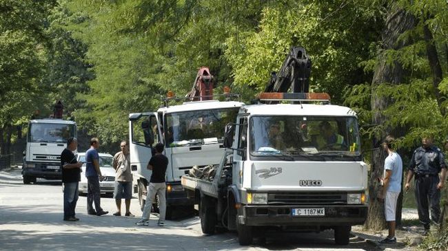 Бизнесмен осъди паяците в Слънчев бряг