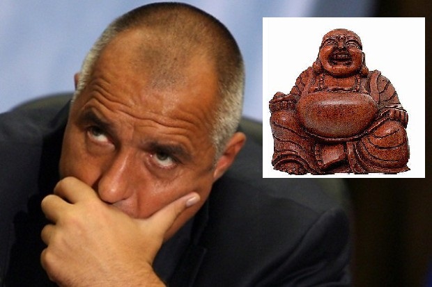 Буда е крава, а не Биволъ