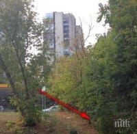 МИСТЕРИЯ! Откриха още един труп в Бургас, бил познат на намерената двойка в Морската градина