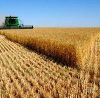 Заемаме френски пазари за износ на жито