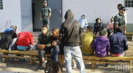 скандал мигрантите български ромки стават съпруги бежанци хиляди евро