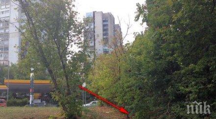 идентифицираха телата морската градина