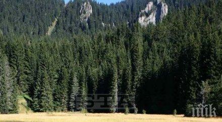 нова мода младоженци женят смолянските езера