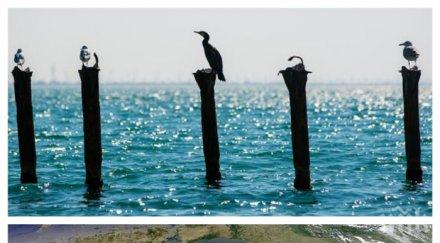 шокиращ доклад учени тревожна прогноза черно море умира