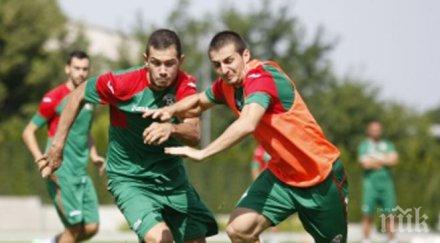 лъвчетата сухия треснаха армения