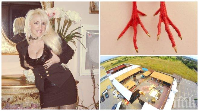 ПЪРВО В ПИК! Скандал на старта на ВИП Брадър - Сашка Васева проваля новия сезон