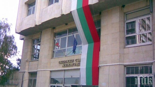 Сладка поръчка: Oбират паяжините в общината в Асеновград за 60 бона на година