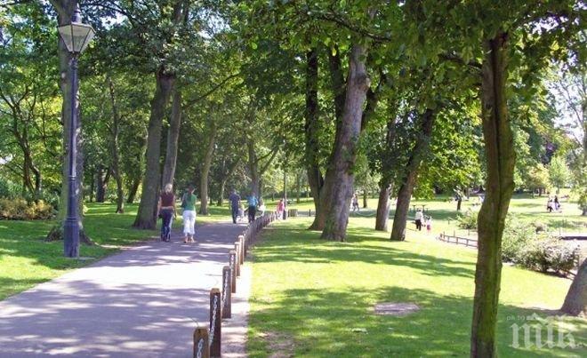 САМО В ПИК! Нагла шофьорка гази алеи в Западен парк (СНИМКИ)