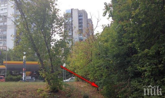 ИЗВЪНРЕДНО! Откриха мъртви мъж и жена в Морската градина на Бургас