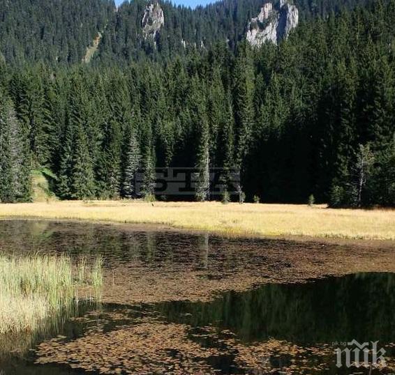 Нова мода: Младоженци се женят край Смолянските езера