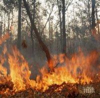 Пак пламна пожарът в Камено, в близост до магистрала 