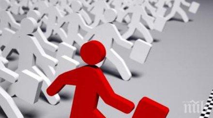 счетоводна фирма отчете печалба милиона лева оглави топ 100 компаниите българия