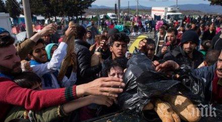 пълен шаш гражданите мигрантски ужас раздава кредитни карти бежанците