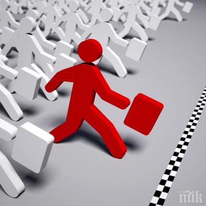 Счетоводна фирма отчете печалба от 2.8 милиона лева и оглави Топ 100 на компаниите в България