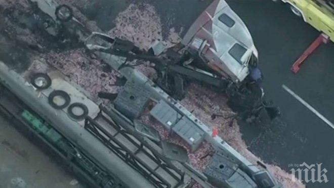 ПАРИ! Камион разпиля монети в САЩ