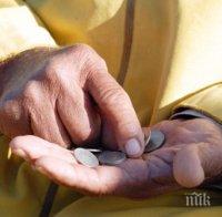 Все повече пенсионери на работа