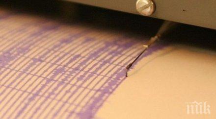 загинали 100 ранени труса рихтер танзания