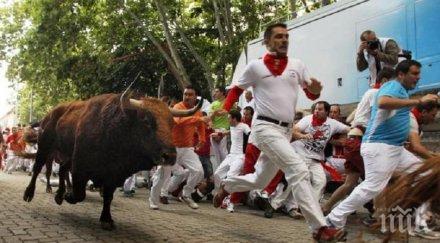 протести жестокостите бикове испания