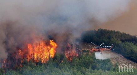 първо пик трагедията тасос продължава пострадали хора къщи ципрас отлага учебната година острова ексклузивни снимки